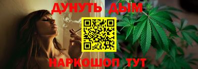 ПСИЛОЦИБИНОВЫЕ ГРИБЫ Канаш
