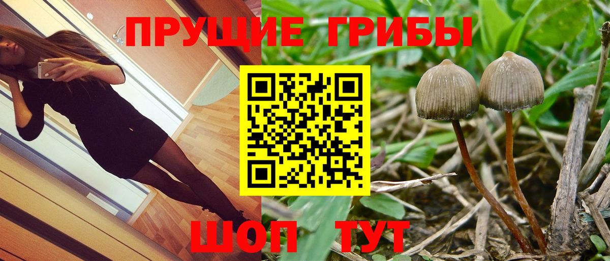 Усть-Илимск  Галлюциногенные грибы мухоморы  Вход с VPN 